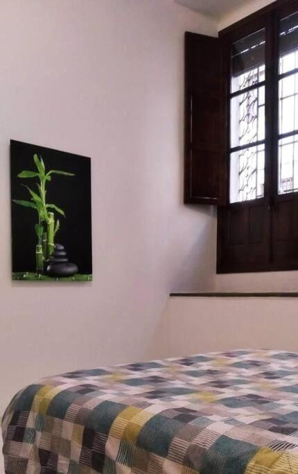 Apartmán Disfruta De La Historica Córdoba Exteriér fotografie